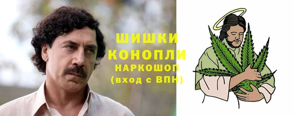 ГАЛЛЮЦИНОГЕННЫЕ ГРИБЫ Лихославль
