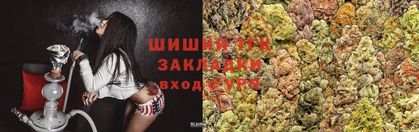 ГАЛЛЮЦИНОГЕННЫЕ ГРИБЫ Липки