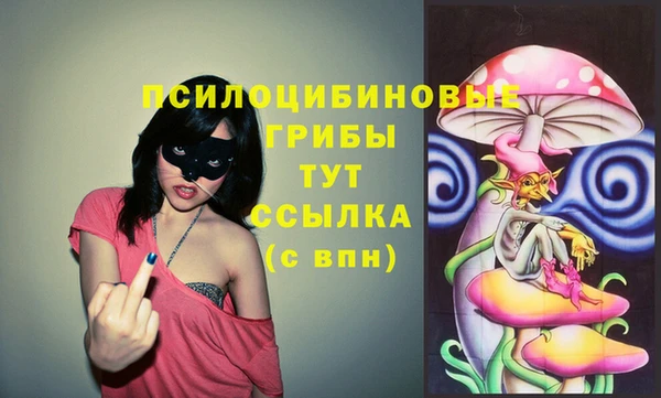 ГАЛЛЮЦИНОГЕННЫЕ ГРИБЫ Лихославль